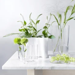 Iittala Aalto duo vase, clear Transparent Outlet