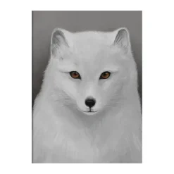 Kunskapstavlan® Arctic fox poster, 30x40 cm Multi Discount