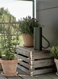 Stelton Bloom water jug 2 liter, Pine Green Online