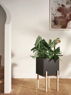 Design House Stockholm Botanic pedestal flower pot, -box Black