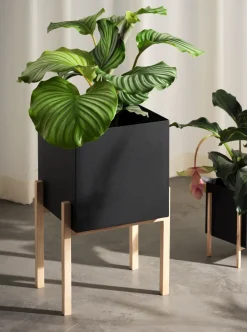 Design House Stockholm Botanic pedestal flower pot, -box Black