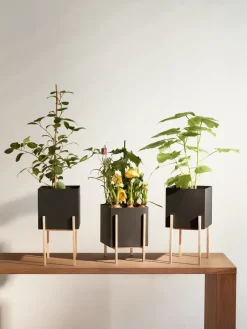 Design House Stockholm Botanic pedestal flower pot, -box Black