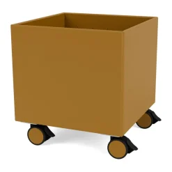 Montana Colour Box I – S6161, Amber Orange Sale