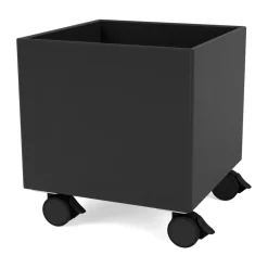 Montana Colour Box I – S6161, Black Best