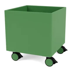 Montana Colour Box I – S6161, Parsley Green Discount