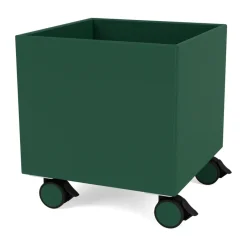 Montana Colour Box I – S6161, Pine Green Sale