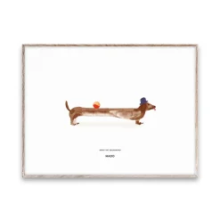 Paper Collective Doug the Dachshund poster, 30x40 cm WhiteBeige Clearance