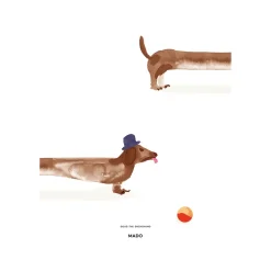 Paper Collective Doug the Dachshund poster, 50x70 cm WhiteBeige New