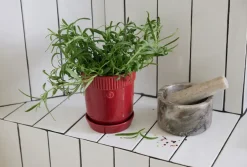 Sagaform Elise herb pot Ø11 cm, Burgundy Red Discount