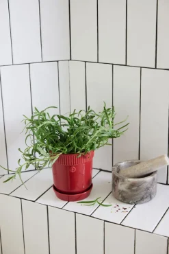 Sagaform Elise herb pot Ø11 cm, Burgundy Red Discount