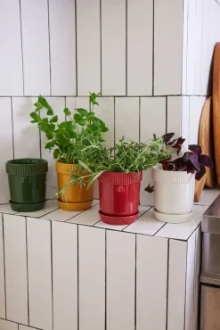 Sagaform Elise herb pot Ø11 cm, Burgundy Red Discount