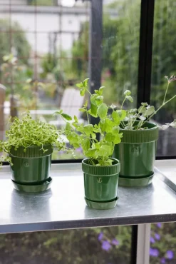 Sagaform Elise herb pot Ø11 cm, Green