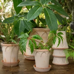 Bergs Potter Elizabeth flower pot Ø14 cm, rose Pink Outlet