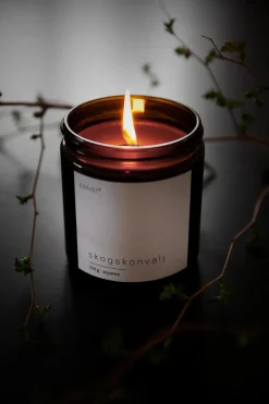 ERNST scented candle in glass with lid Ø7.2 cm, Forest lily BrownBlackWhite Online