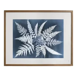 Fine Little Day Fern star poster, 40x50 cm BlackWhite Hot