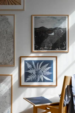 Fine Little Day Fern star poster, 40x50 cm BlackWhite Hot
