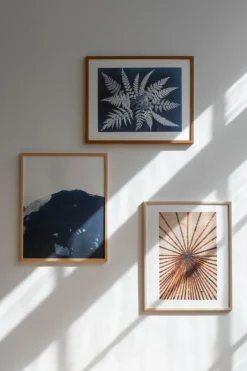 Fine Little Day Fern star poster, 40x50 cm BlackWhite Hot