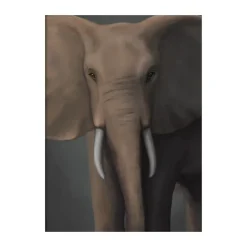 Kunskapstavlan® Forest elephant poster, 30x40 cm Multi Online