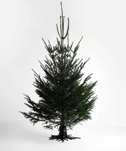 Garden Glory Christmas tree stand, matte Black Best