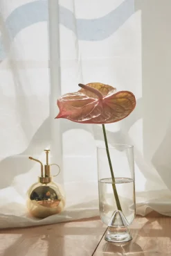 AYTM Globe plant sprayer, Gold Gold-coloured Discount
