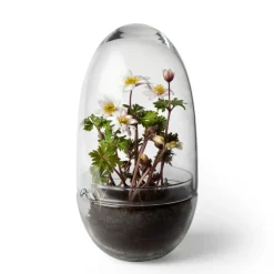 Design House Stockholm Grow greenhouse, Medium Ø11 cm Transparent Best