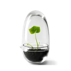 Design House Stockholm Grow greenhouse, small Ø8 cm Transparent Clearance