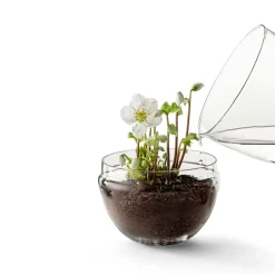 Design House Stockholm Grow greenhouse, x-large Ø20 cm Transparent Discount