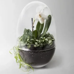 Design House Stockholm Grow greenhouse, x-large Ø20 cm Transparent Discount