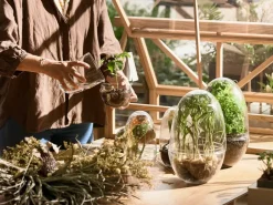 Design House Stockholm Grow greenhouse, x-large Ø20 cm Transparent Discount