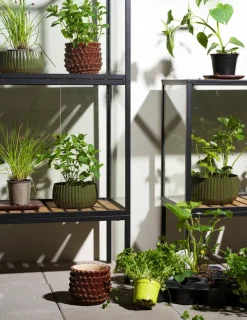 Brafab Grower Greens plant cabinet, , 81x137 cm Black Outlet