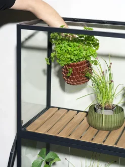 Brafab Grower Greens plant cabinet, , 81x137 cm Black Outlet