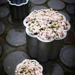 Byarums bruk Gråsippa plant pot, Aluminum sand-casted, no. 1 Ø33 cm Silver-coloured Discount