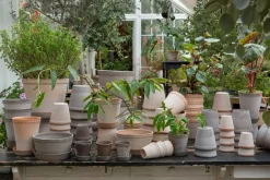 Bergs Potter Helena flower pot Ø12 cm, Grey Best