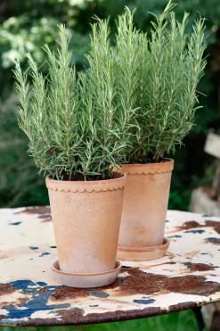 Bergs Potter Helena flower pot high Ø14 cm, Pink Sale