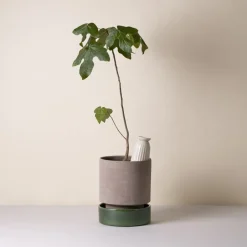 Bergs Potter Hoff pot, Ø18 cm, Raw Grey-Emerald Green GreyGreen Best