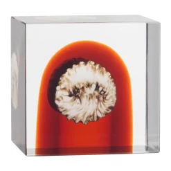 Iittala annual cube, 2026 Orange Discount
