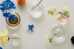 Kosta Boda Kappa vase 56 mm, Clear Transparent Sale