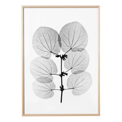 Fine Little Day Katsura poster, 70x100 cm BlackWhite Best
