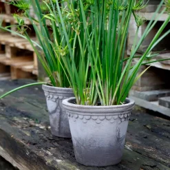 Bergs Potter Københavner flower pot Ø18 cm, Grey Hot