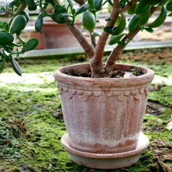 Bergs Potter Københavner flower pot 21 cm, Pink Best