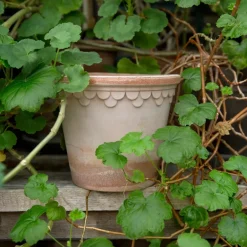 Bergs Potter Københavner flower pot Ø16 cm, Pink