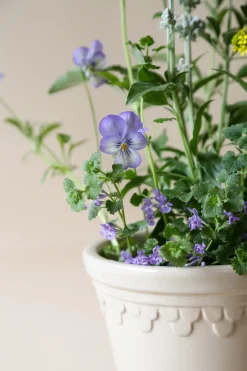 Bergs Potter Københavner flower pot glazed Ø16 cm, Sand Stone Beige Outlet