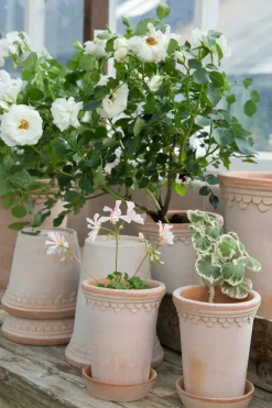 Bergs Potter Københavner flower pot high Ø10 cm, Pink Sale