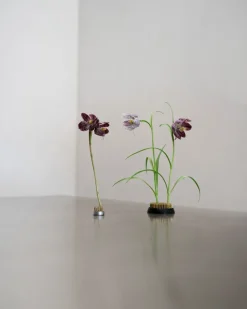 Hein Studio Kenzan vase, Ø6 cm Grey Outlet