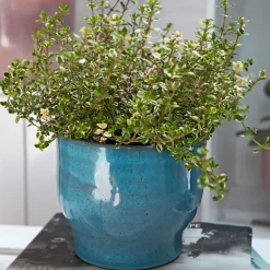 Knabstrup Keramik Knabstrup outdoor flower pot Ø16.5 cm, dusty Blue Hot