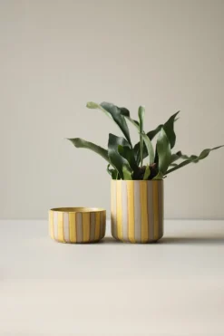 DBKD Line pot Ø14x16 cm, Yellow Online