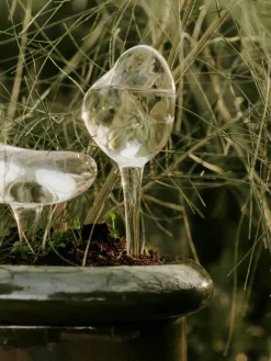 Ferm Living Mercury watering globe 2 parts, Clear, 15x24 cm Transparent Outlet