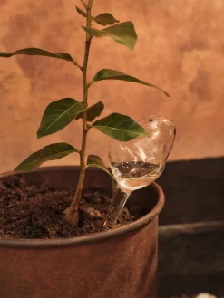 Ferm Living Mercury watering globe 2 parts, Clear, 12x18.5 cm Transparent Hot