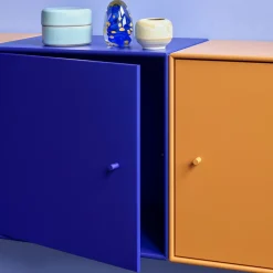Montana Mini 1103 shelf module, Camomile 159. with door Yellow Outlet