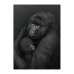 Kunskapstavlan® Mountain gorilla poster, 30x40 cm Multi Outlet